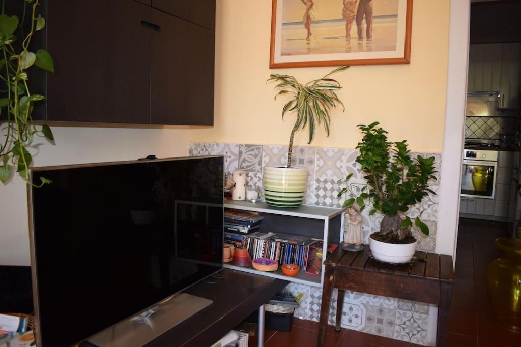 Terrace Flat In *
